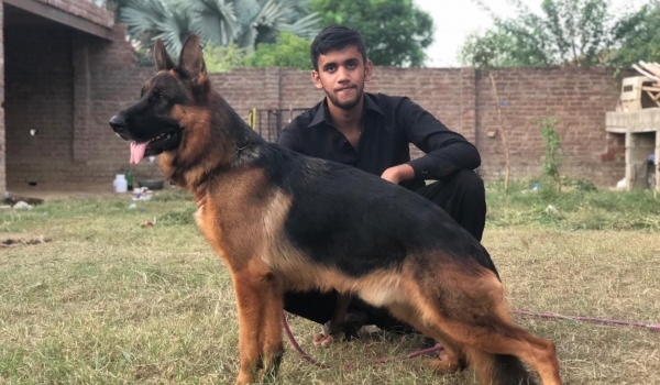 Prince vom Game Time