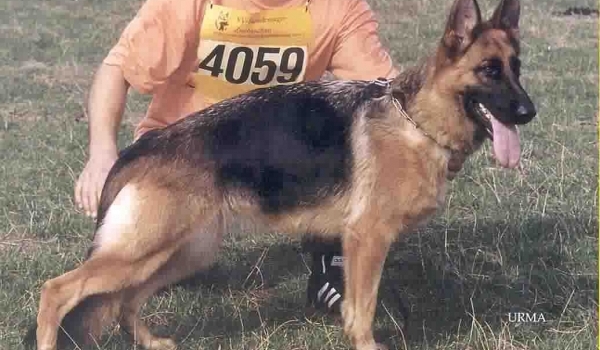 Nina von Tronje