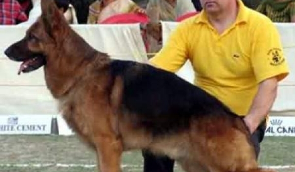 Xano von Haus Milesevac