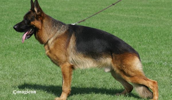 Sammo di Casa Beggiato