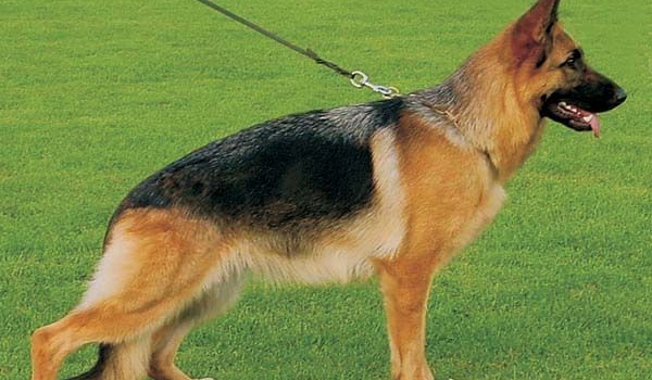 Claudia vom Bergmannshof