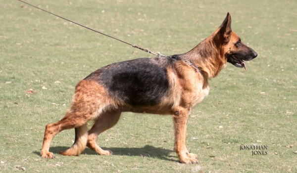 Billy vom Super Star