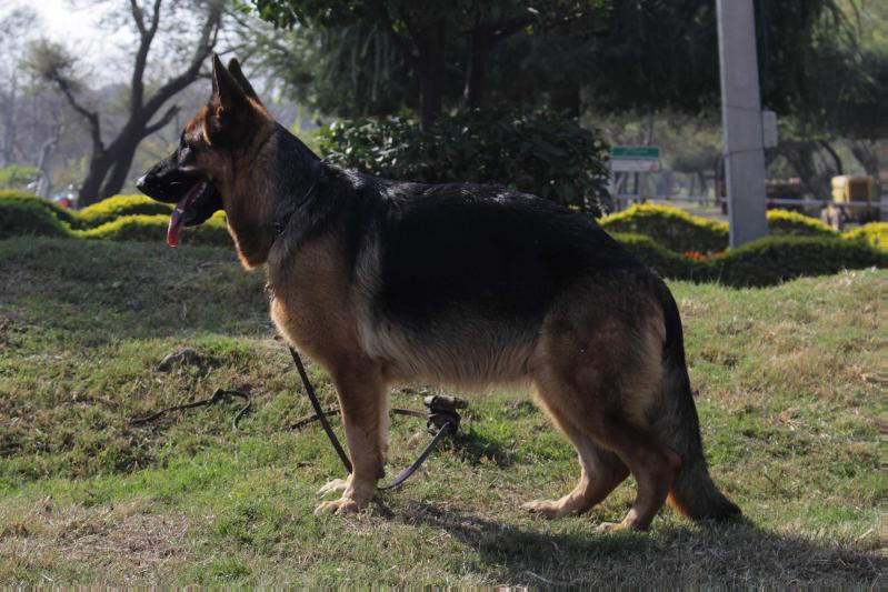 IVANA za iii mostami 