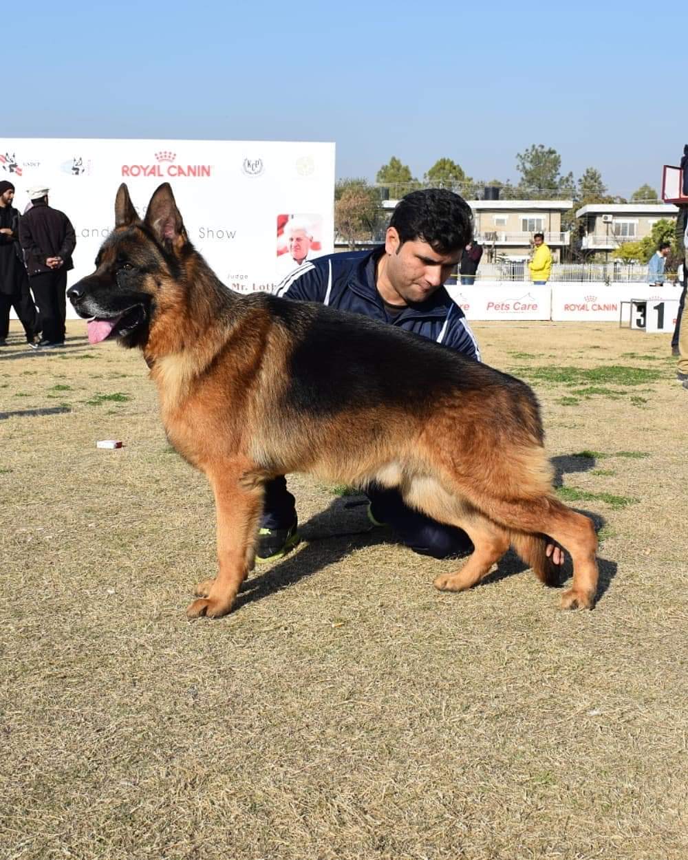 Chacco vom Royal Star