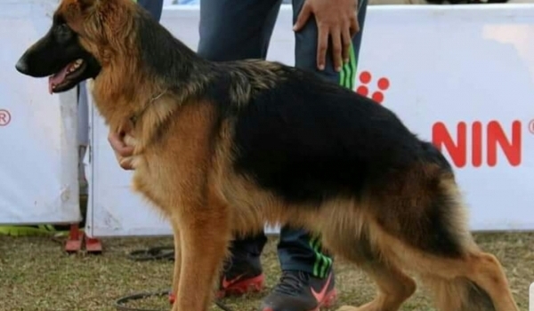 Nikki vom die Besten