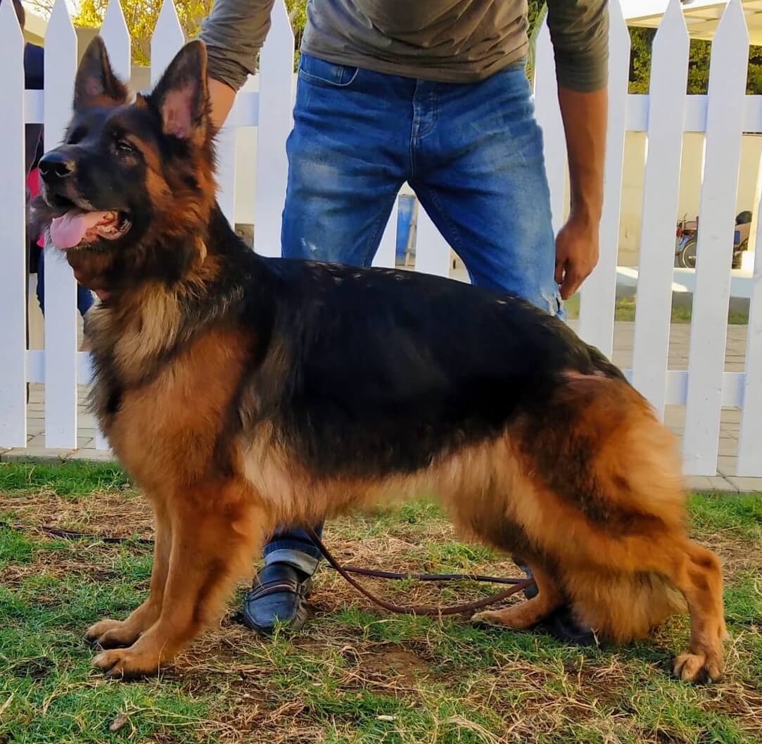 Heldy Good Team Loznica