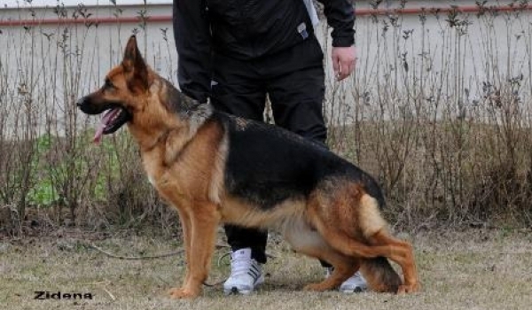 Megi vom Funken Spiel