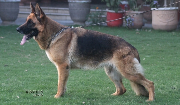Jina vom Graffen Hausen