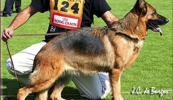 Lufti vom Hühnegrab