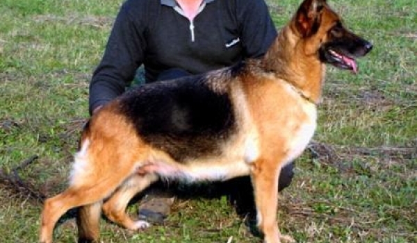 Biba vom Funken Spiel