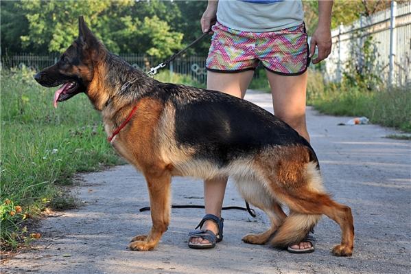 Geirtrud aus Vikwelt