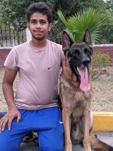 Zorro vom Haus Eagle